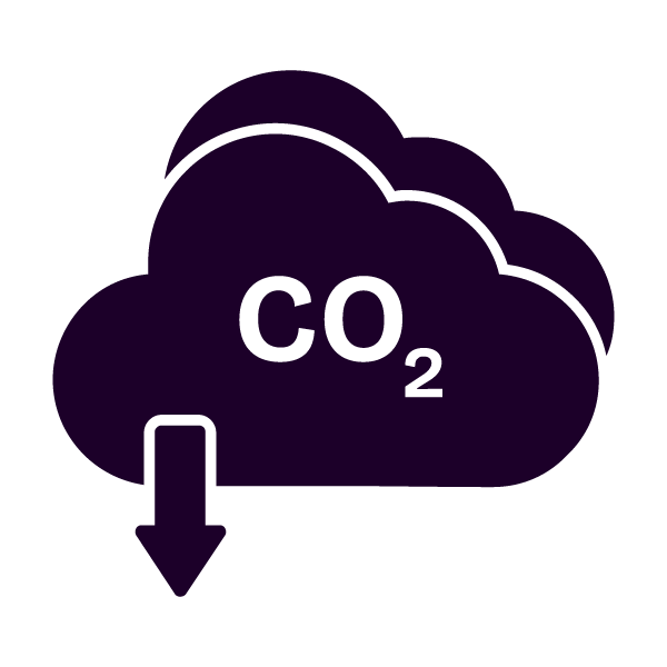 Carbon Footprint